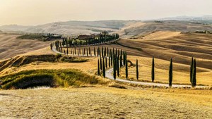 European road 16.9